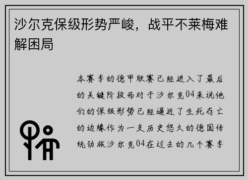 沙尔克保级形势严峻，战平不莱梅难解困局